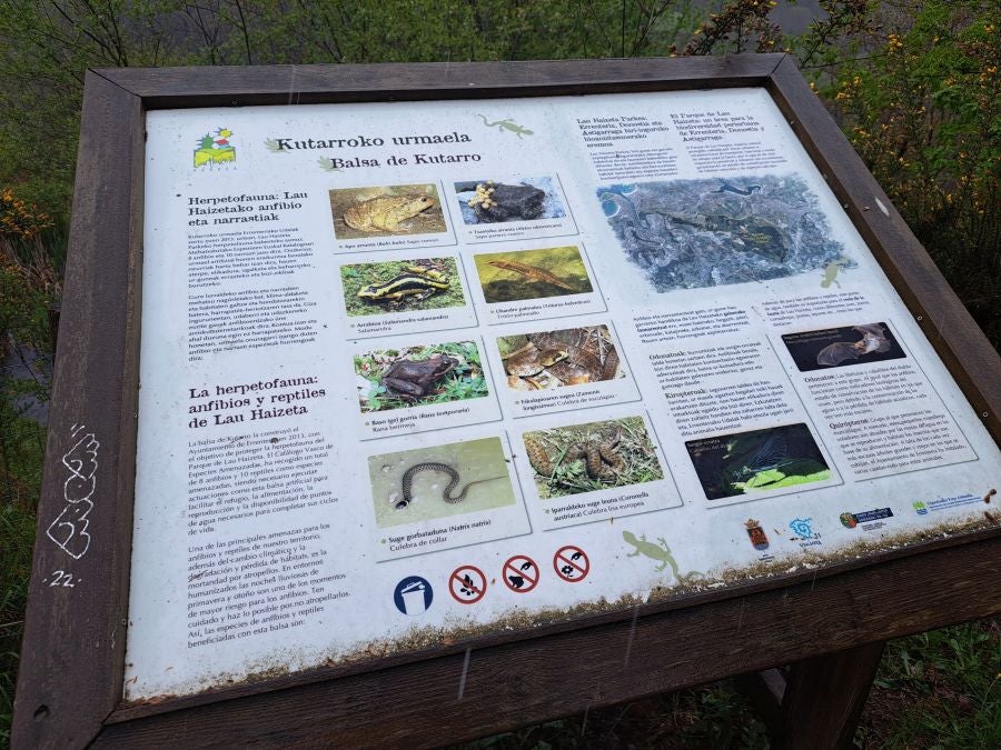 Txoritokieta: Un recorrido sencillo cargado de historia