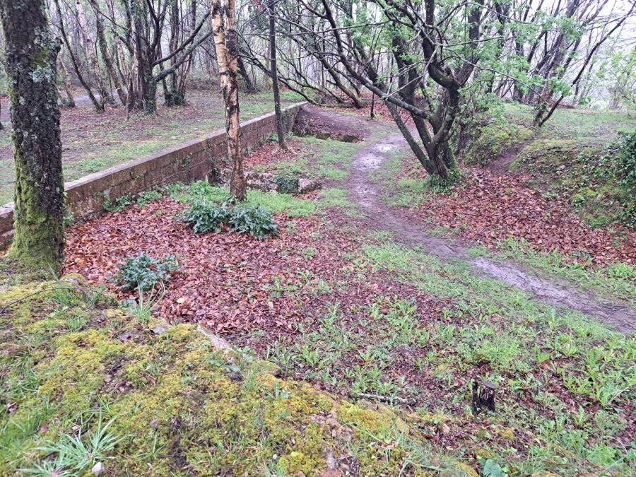 Txoritokieta: Un recorrido sencillo cargado de historia