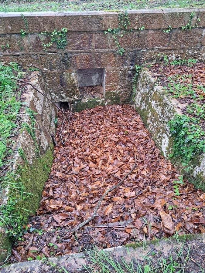 Txoritokieta: Un recorrido sencillo cargado de historia