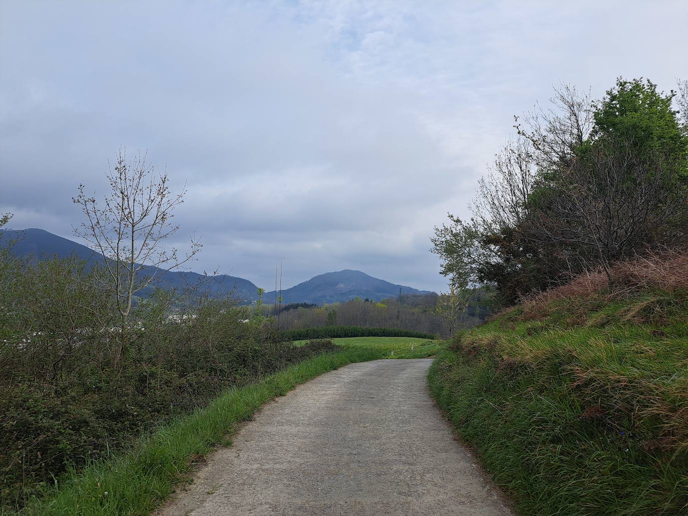 Oindolar, una recompensa primaveral