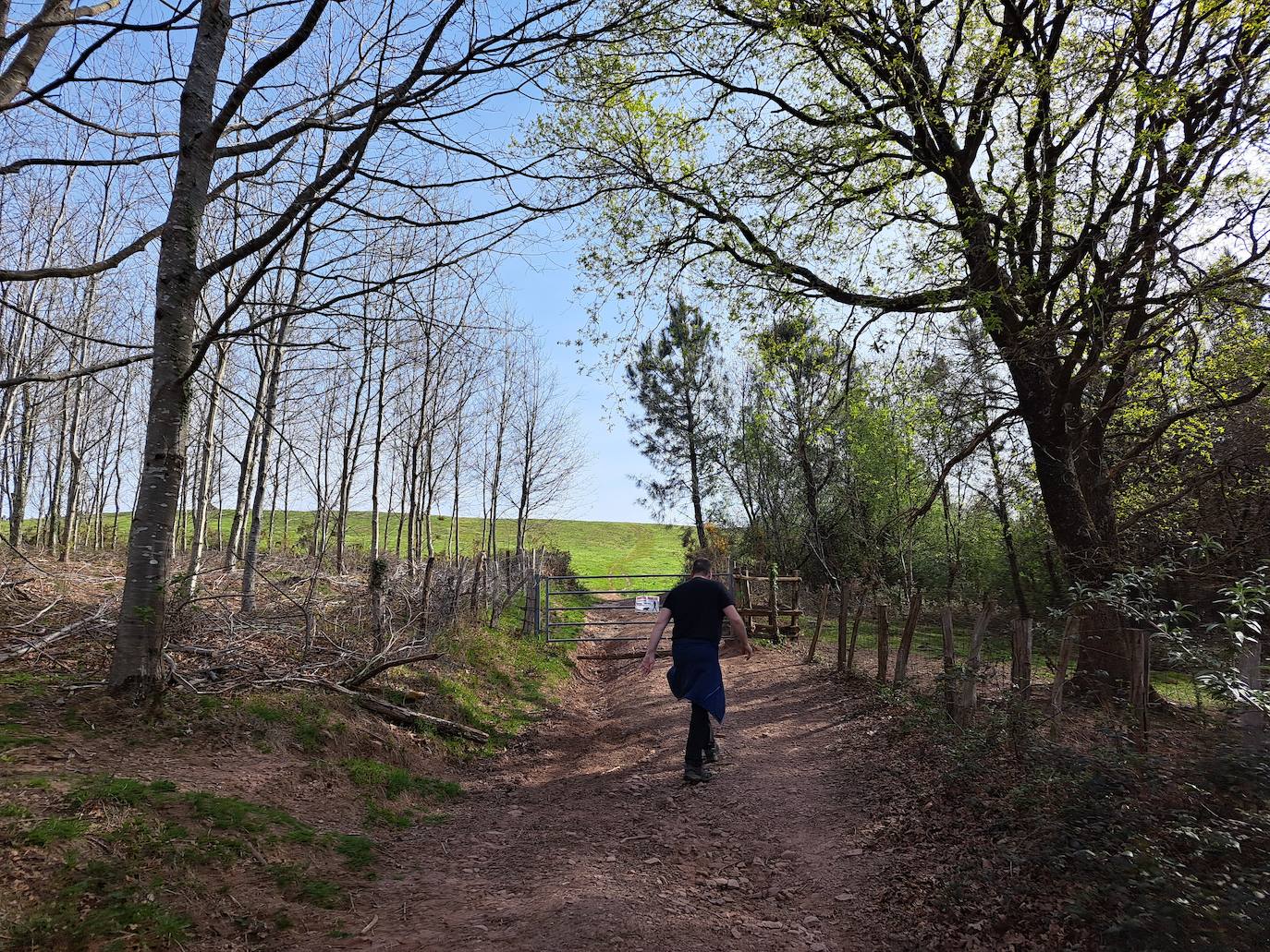 Oindolar, una recompensa primaveral