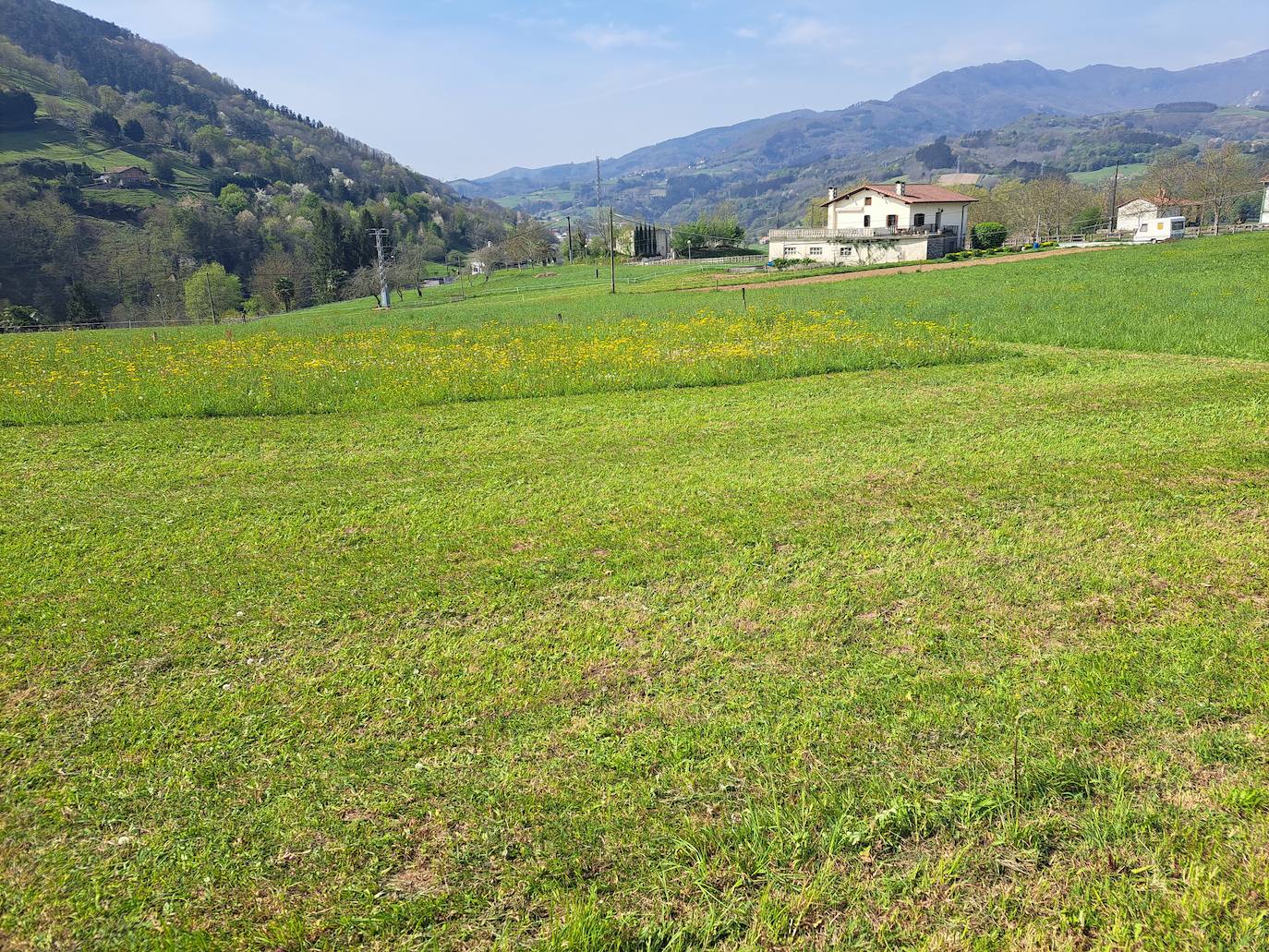 Oindolar, una recompensa primaveral