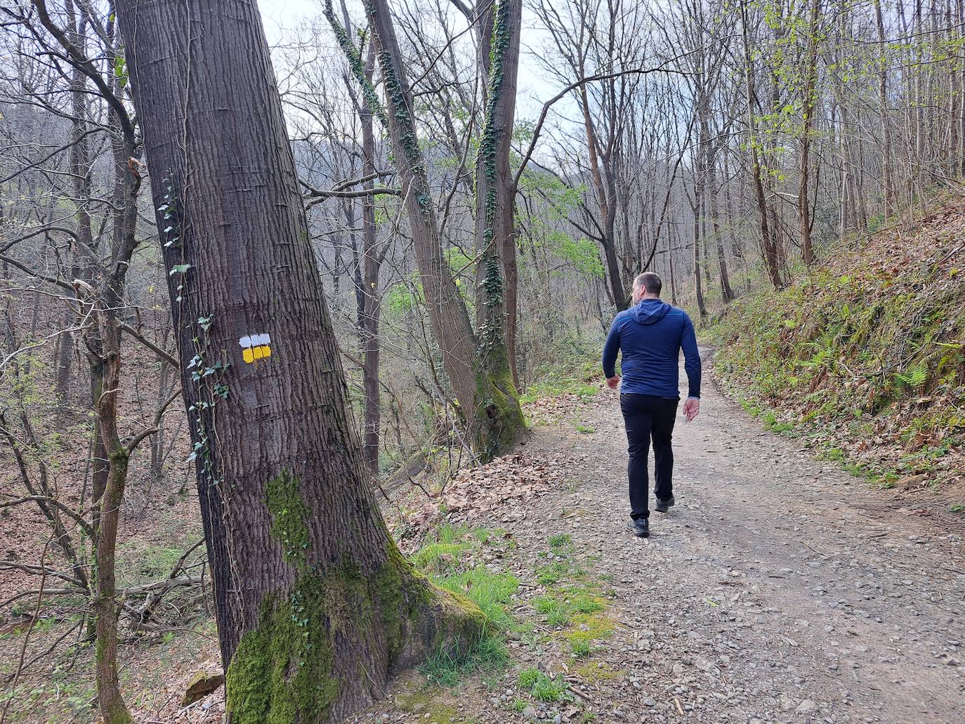 Oindolar, una recompensa primaveral