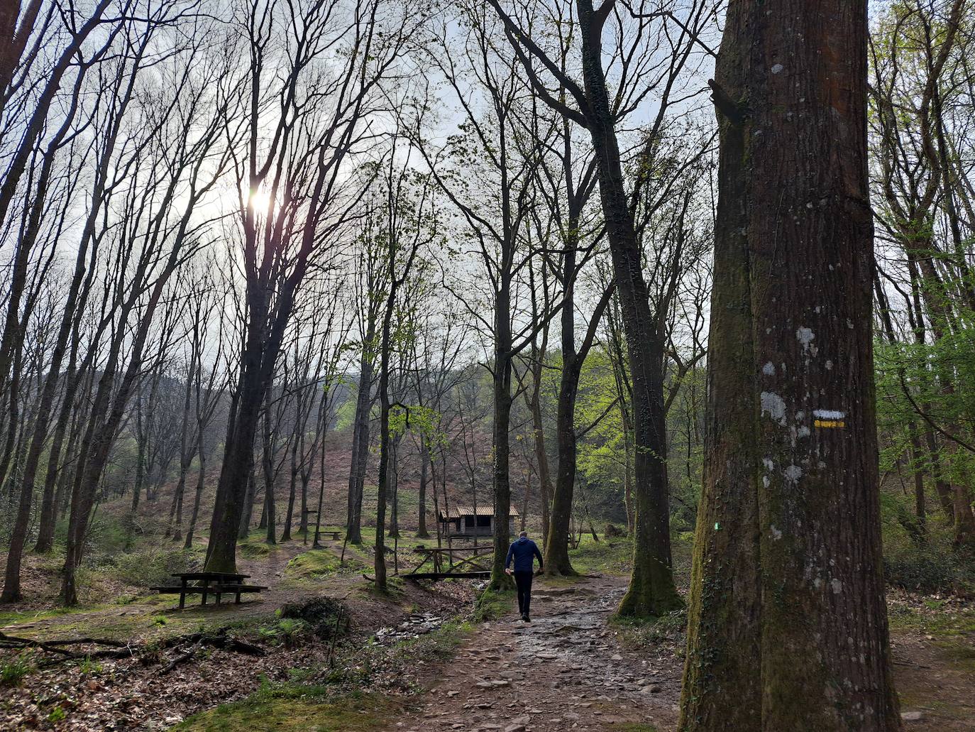 Oindolar, una recompensa primaveral