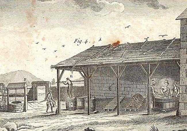 Grabado de Robert Bénard sobre el proceso de secado de la merluza.