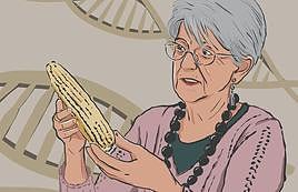 Mertxe Renobalesen ilustrazioa.