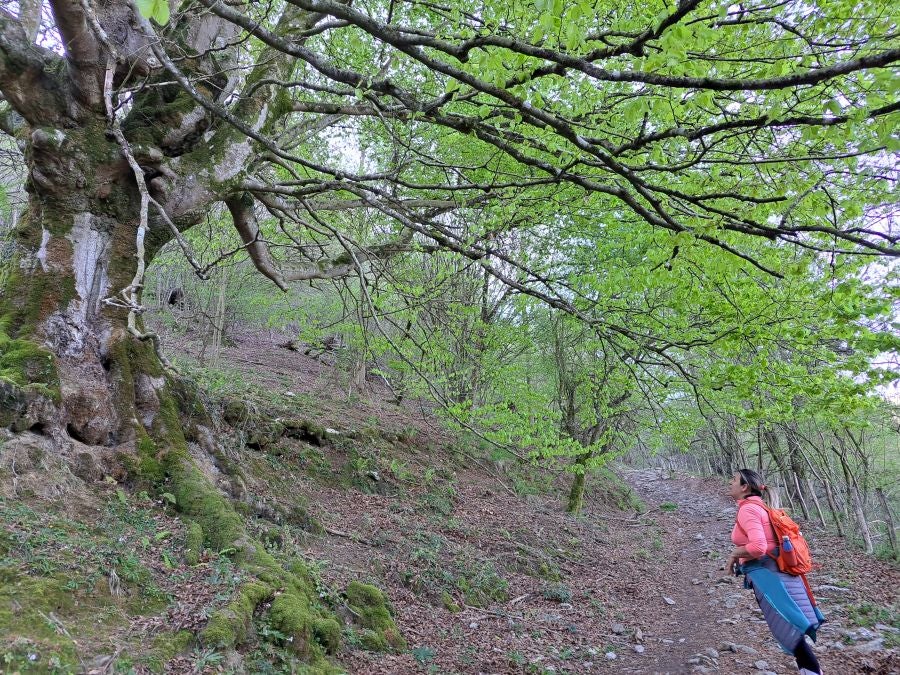 Pikuta, lejos del mundanal ruido