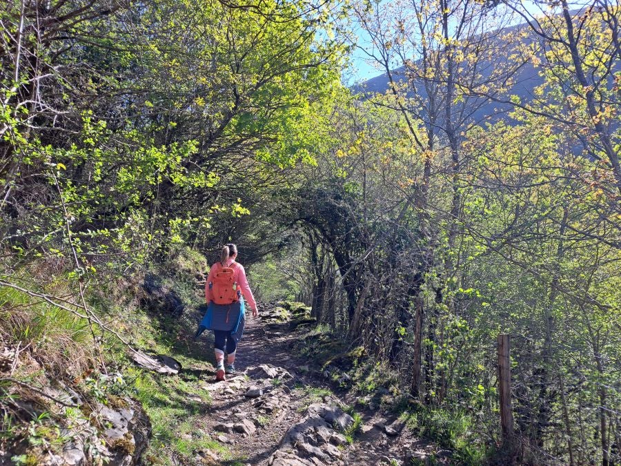 Pikuta, lejos del mundanal ruido