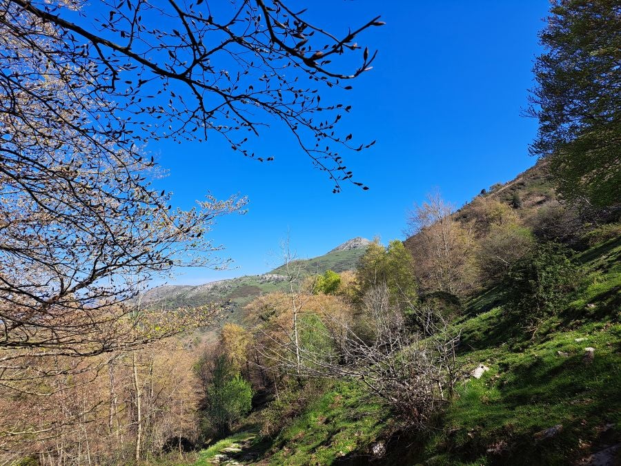 Pikuta, lejos del mundanal ruido