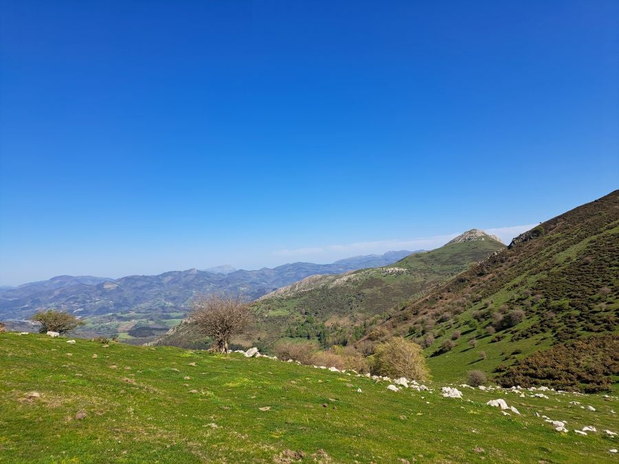 Pikuta, lejos del mundanal ruido