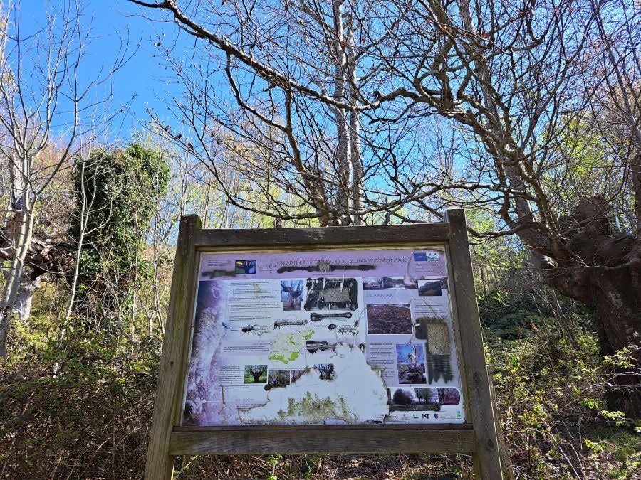 Pikuta, lejos del mundanal ruido