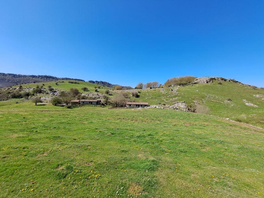 Pikuta, lejos del mundanal ruido