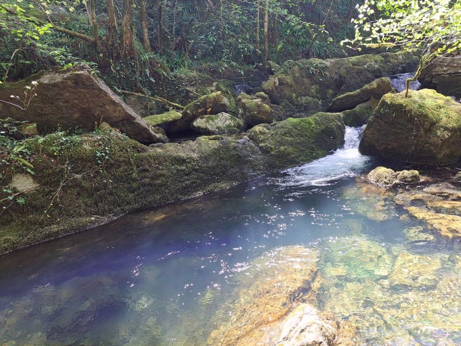 Pikuta, lejos del mundanal ruido