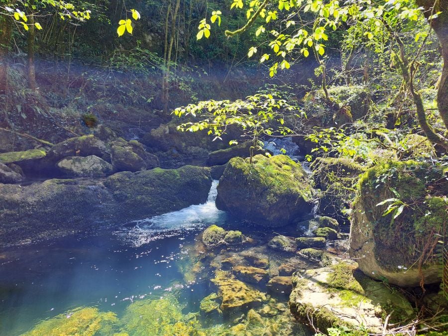 Pikuta, lejos del mundanal ruido