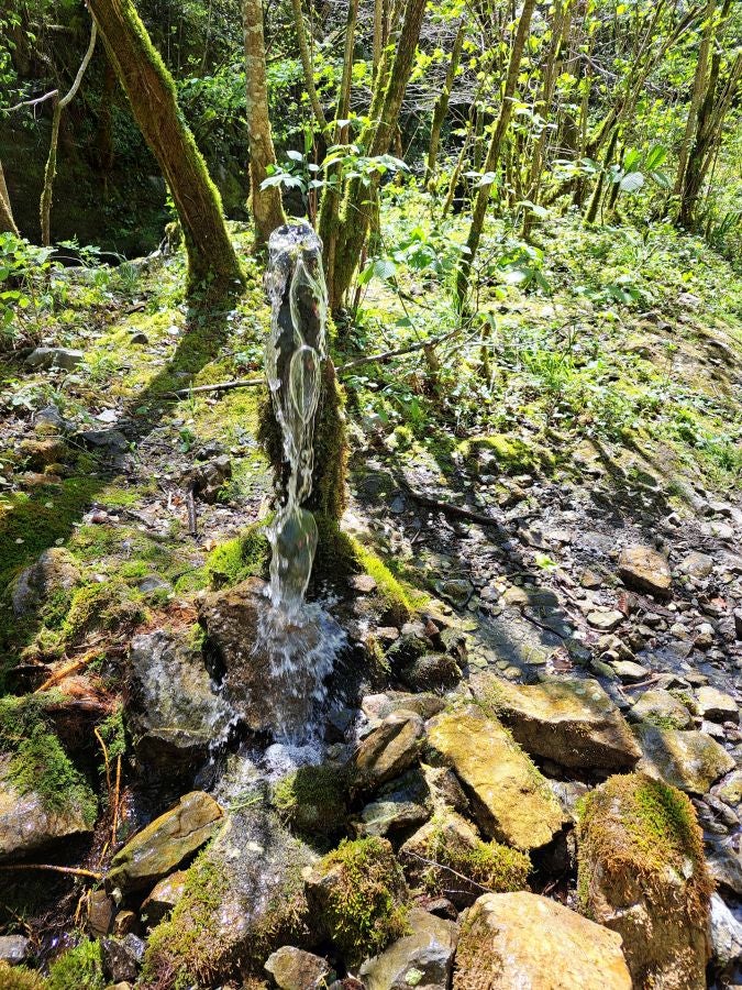 Pikuta, lejos del mundanal ruido