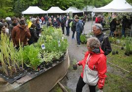 Plantas de los cinco continentes expondrán este fin de semana los viveristas participantes en la feria de Aia.