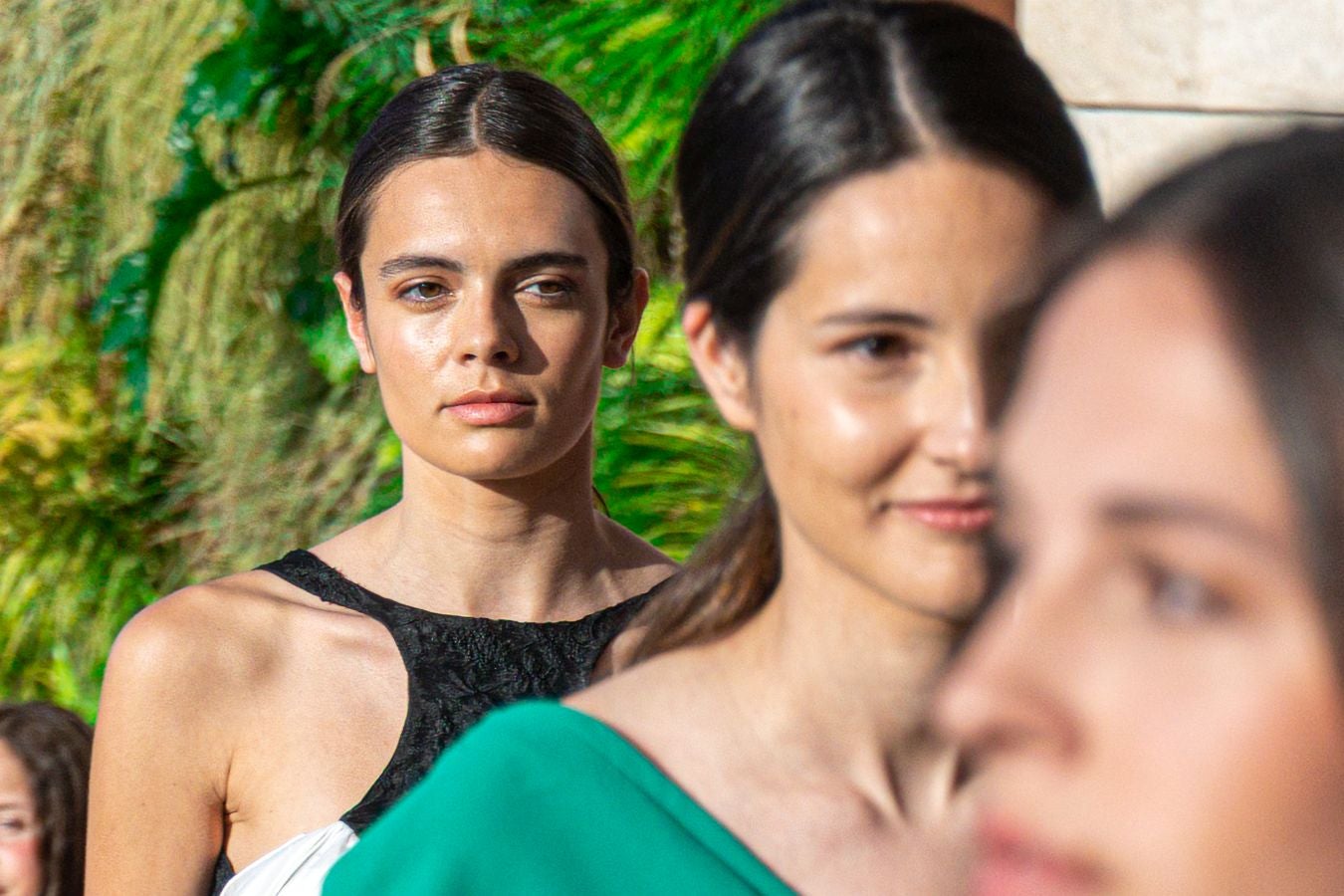 &#039;Fashion show&#039; en Garbera