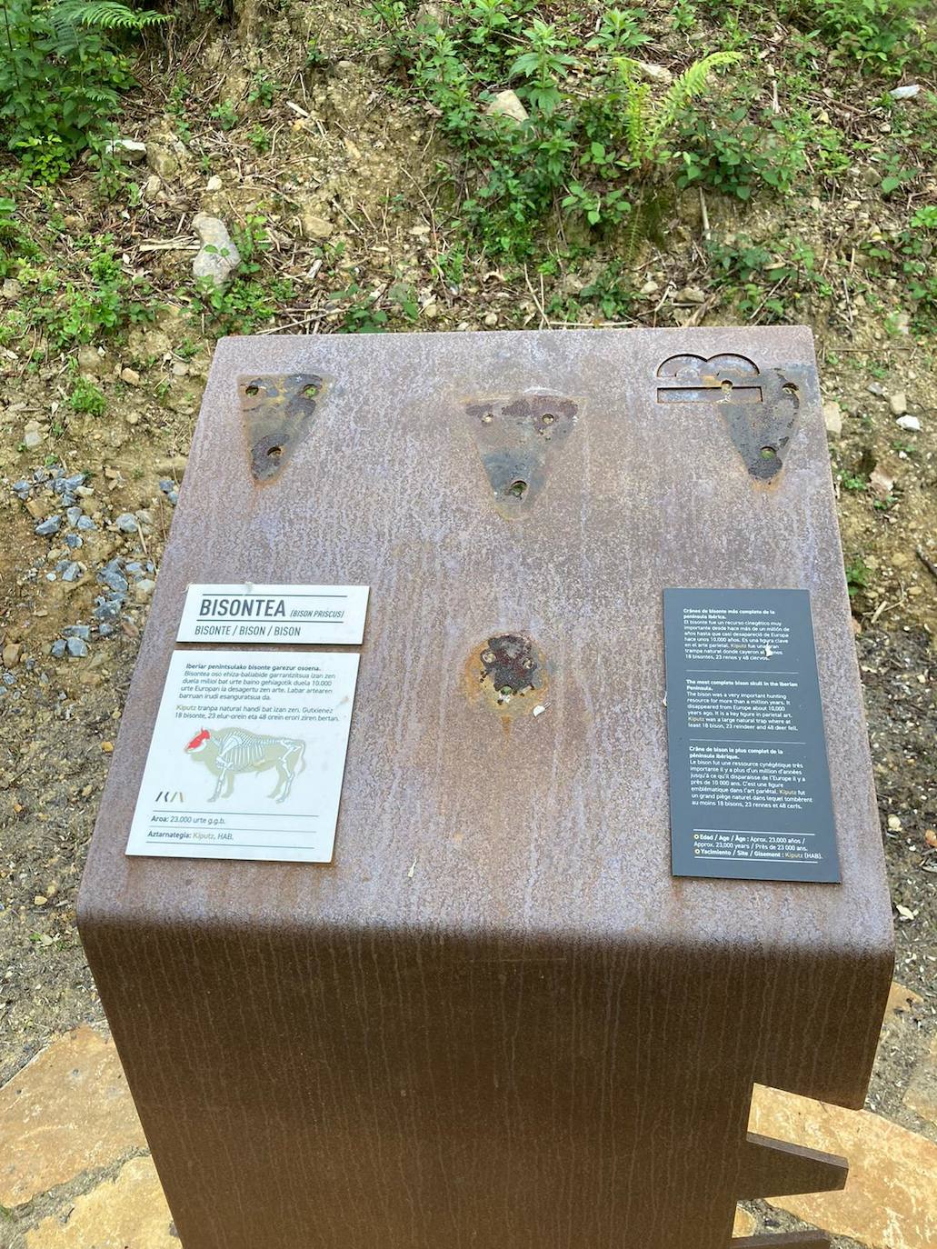 Mostrador donde se encontraba atornillado la réplica del cráneo del bisonte.