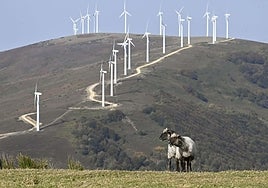 Gipuzkoa cuenta en la actualidad con tres parques eólicos, entre ellos el de la imagen (Elguea-Urkilla).