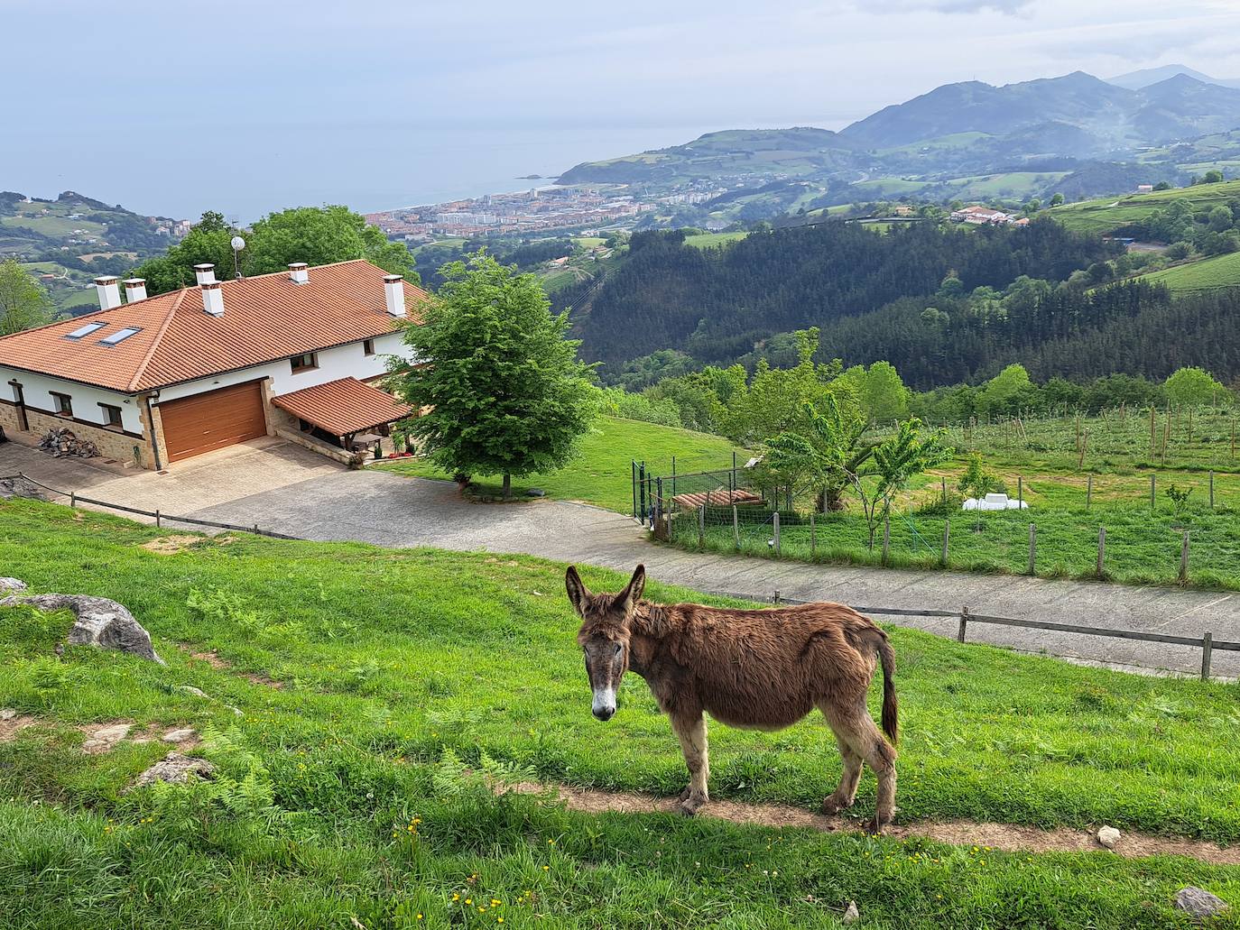 Indamendi, preciosa balconada de Pagoeta