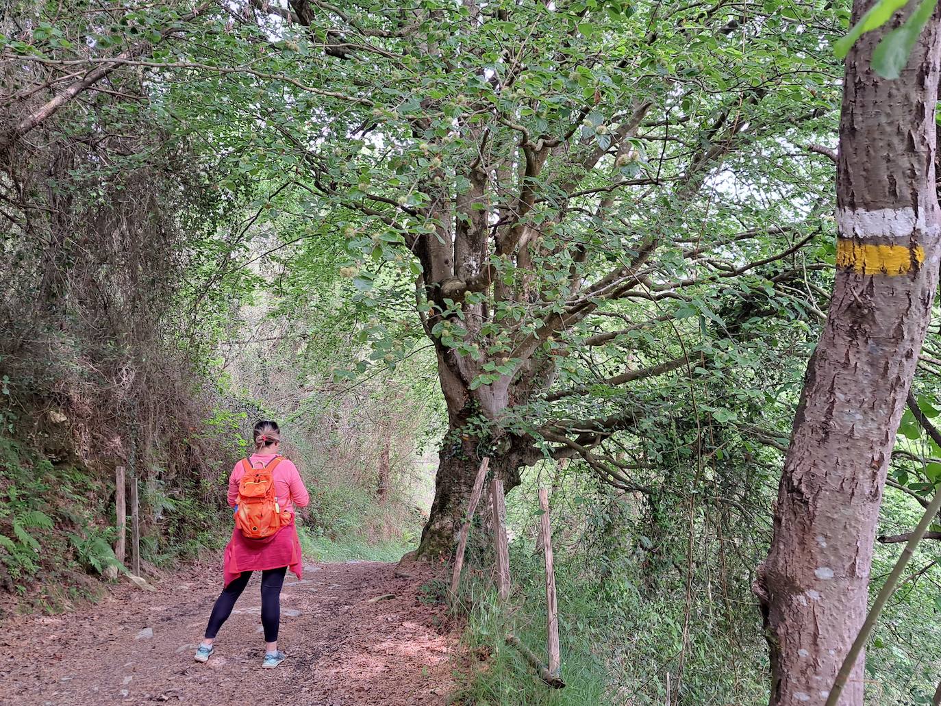Indamendi, preciosa balconada de Pagoeta