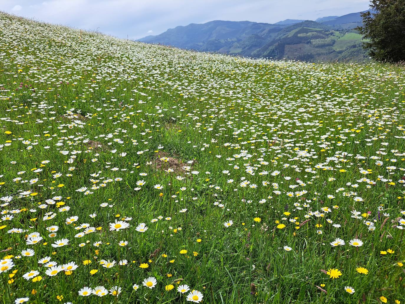 Indamendi, preciosa balconada de Pagoeta