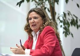 La consejera vasca de Salud, Gotzone Sagardui.