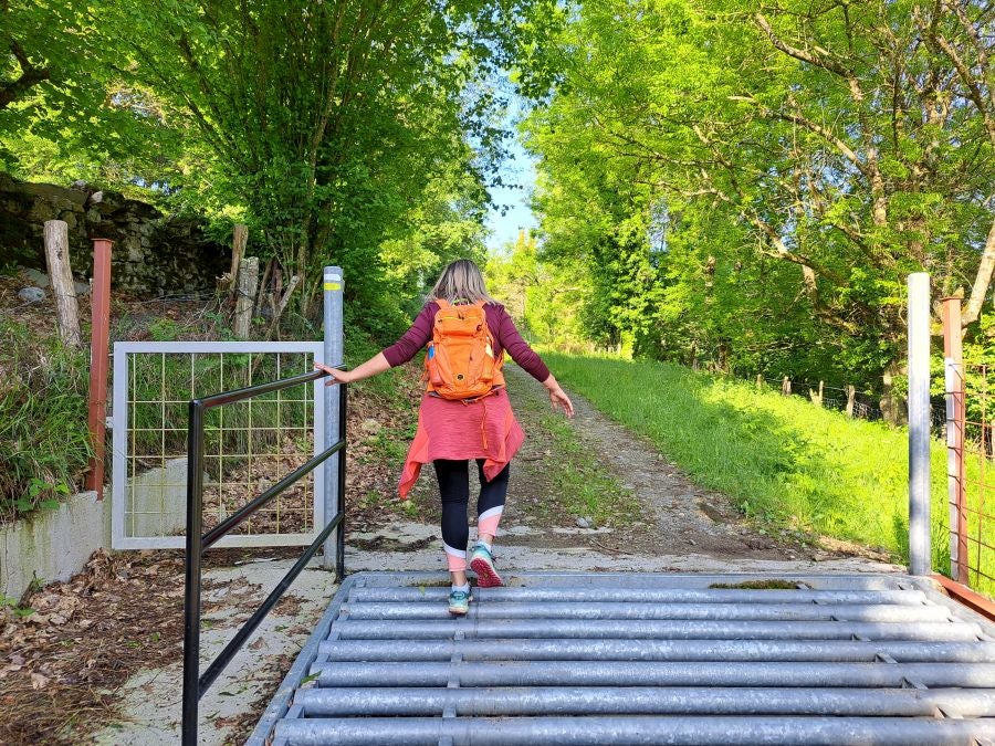 Explosión primaveral en la cima de Erroizpe