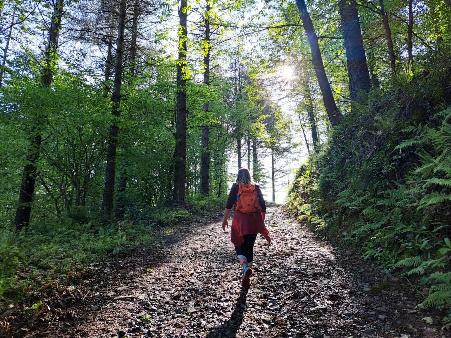 Explosión primaveral en la cima de Erroizpe