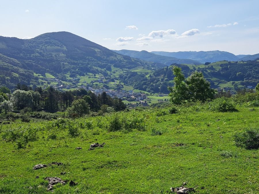 Explosión primaveral en la cima de Erroizpe