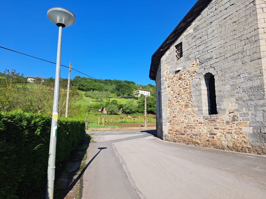 Explosión primaveral en la cima de Erroizpe