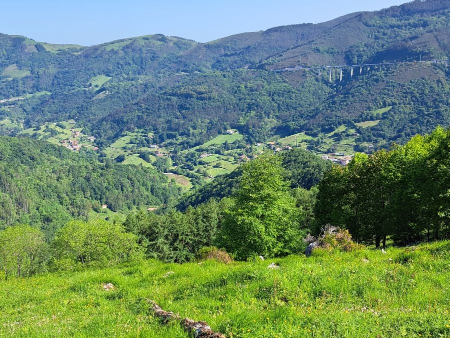 Explosión primaveral en la cima de Erroizpe