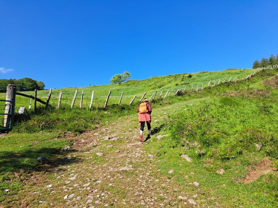 Explosión primaveral en la cima de Erroizpe