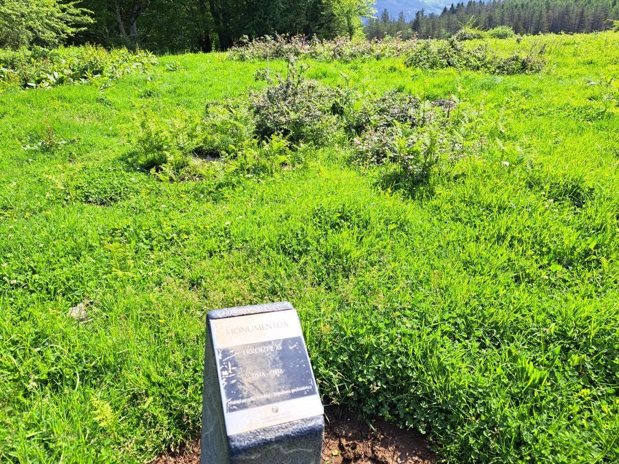 Explosión primaveral en la cima de Erroizpe