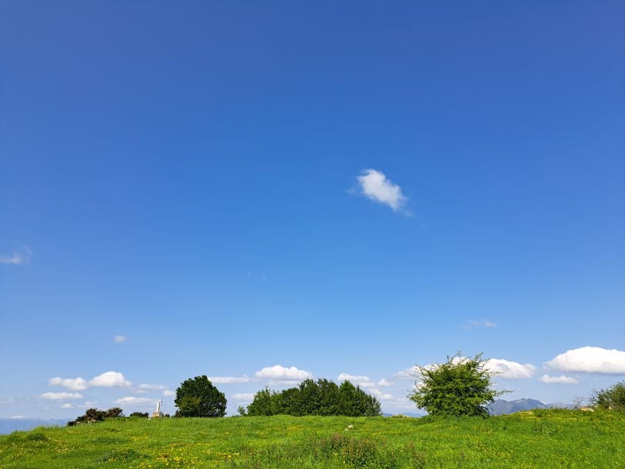 Explosión primaveral en la cima de Erroizpe