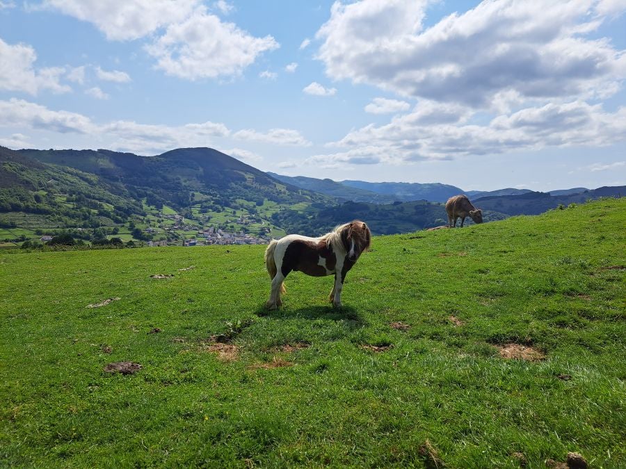 Explosión primaveral en la cima de Erroizpe