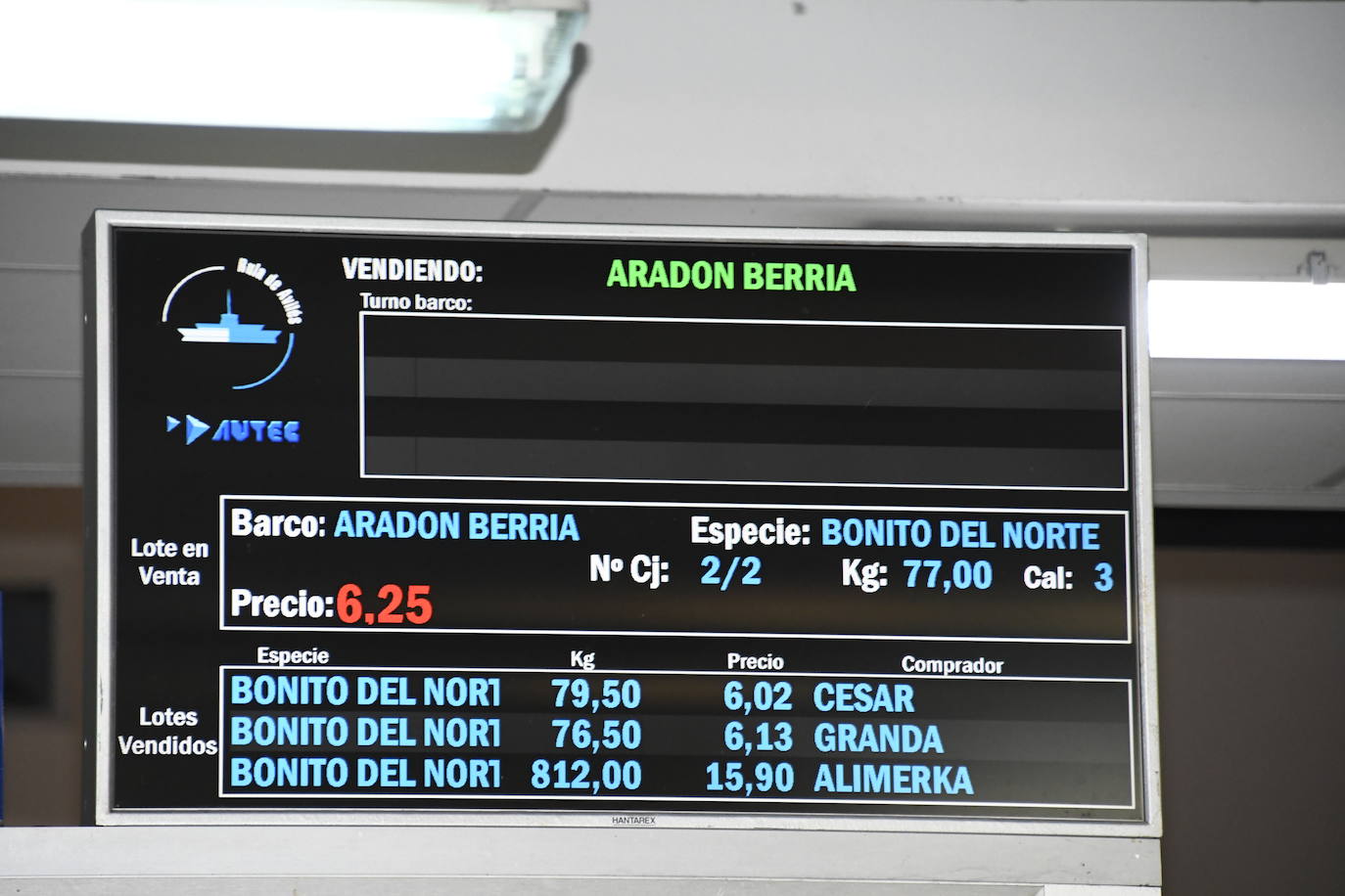 370 euros el kilo por el primer bonito