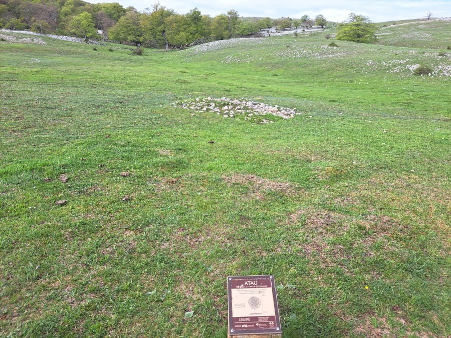 Mirutegi, un inmenso jardín con vistas