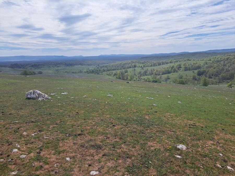 Mirutegi, un inmenso jardín con vistas