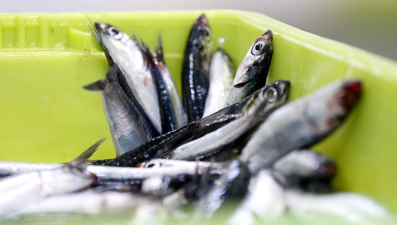 Una jornada en el &#039;Ave María&#039;