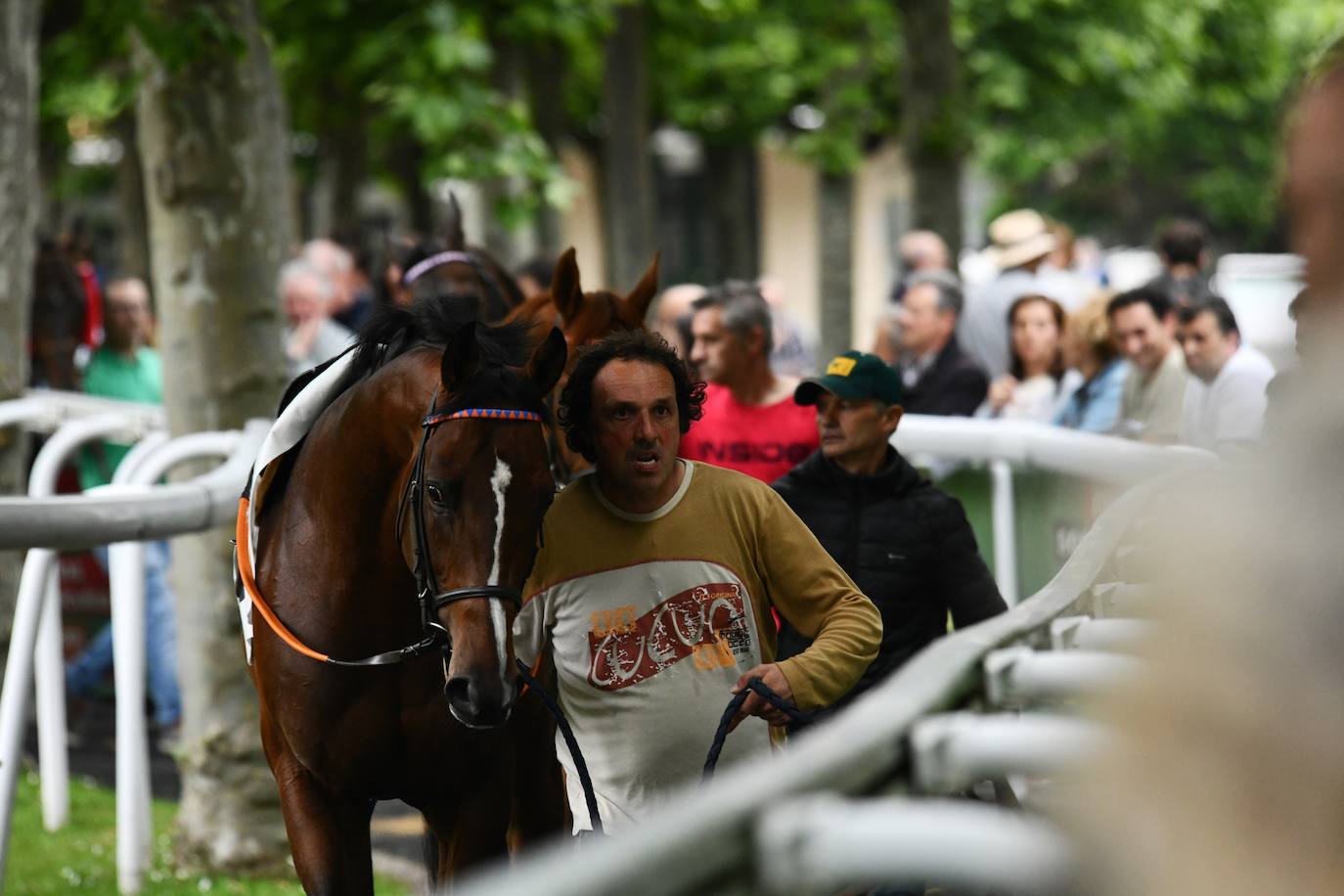 El hipódromo alza el telón