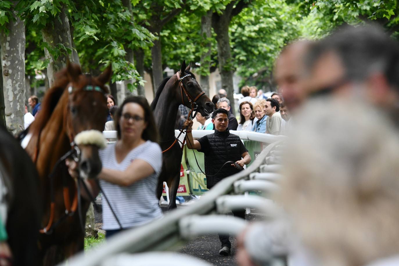 El hipódromo alza el telón
