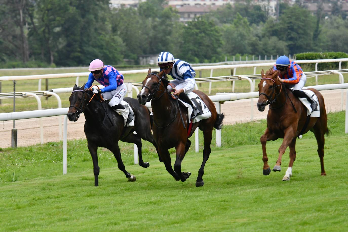 El hipódromo alza el telón