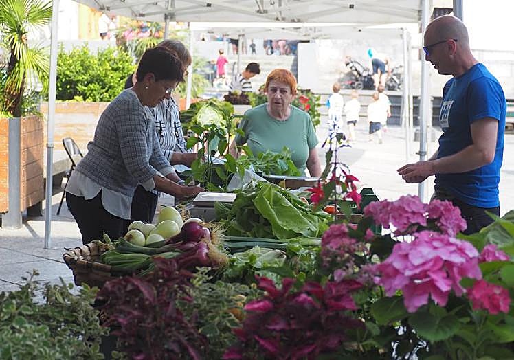 Imagen principal - Giro onean ospatu da aurtengo Herri Jaia