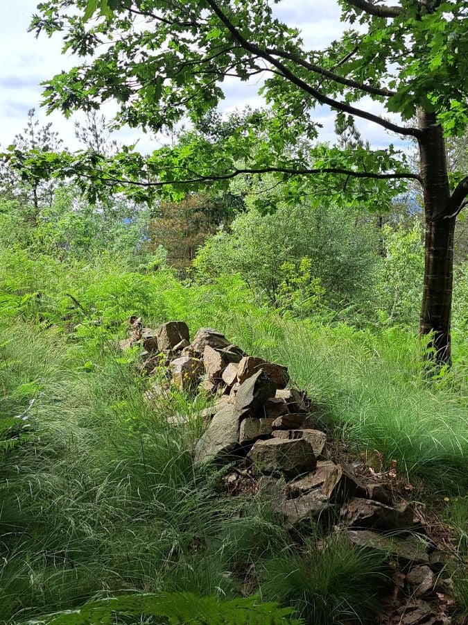 Belkoain, una cima con historia