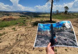 El abrazo de una niña. Una persona sujeta la imagen de Helena, de 7 años, abrazada a un árbol entre cenizas.