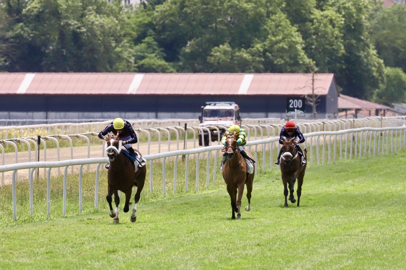 Vuelven las carreras al hipódromo