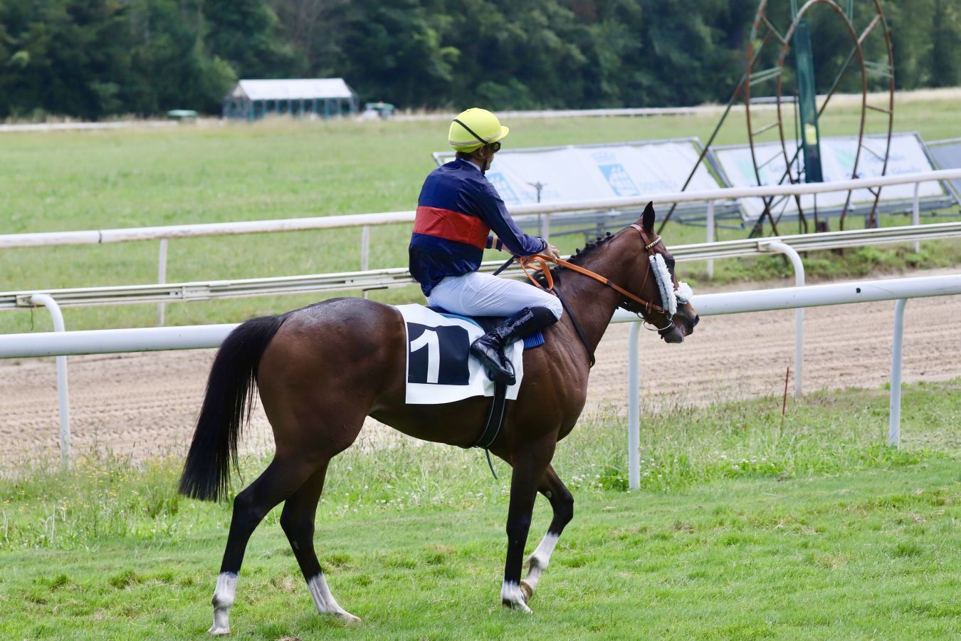 Vuelven las carreras al hipódromo