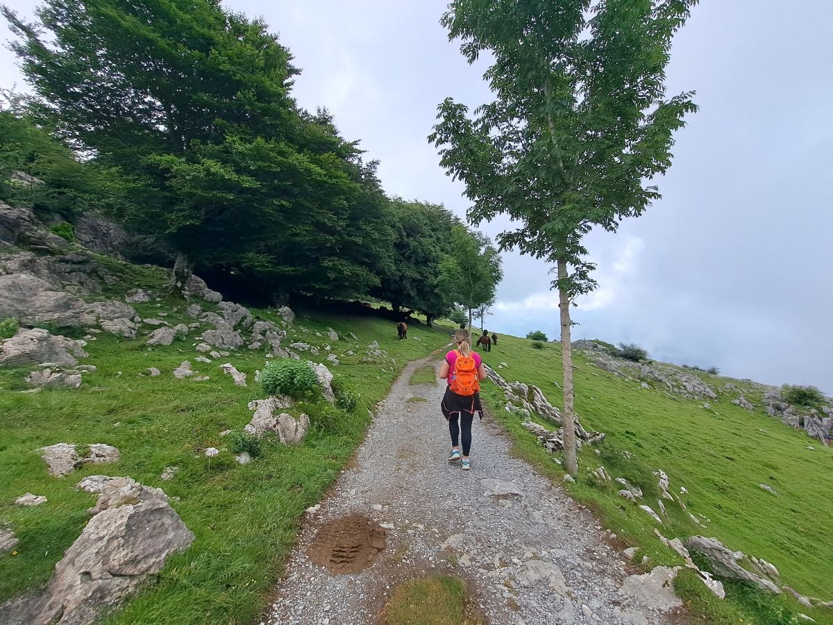 Xoxote, en el corazón de Izarraitz