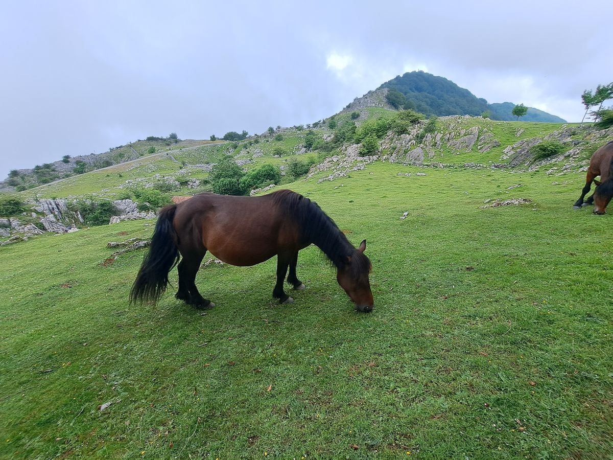Xoxote, en el corazón de Izarraitz